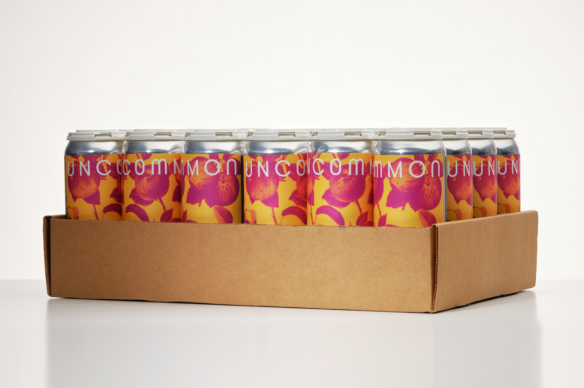 Dry Craft Cider 4 x 473ml